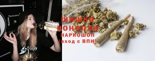 ешки Новодвинск