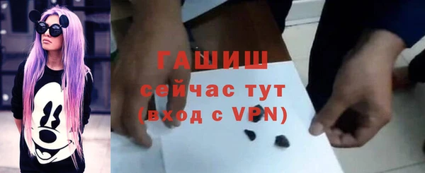 ешки Новодвинск