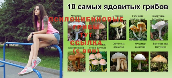 ECSTASY Алексеевка