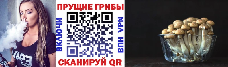 Галлюциногенные грибы Magic Shrooms Порхов