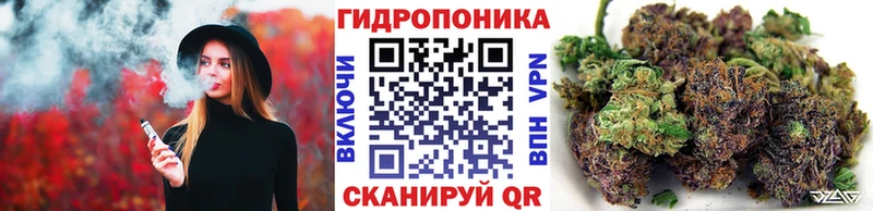 Конопля марихуана  как найти закладки  Порхов 